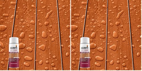 Olympic WaterGuard 11.75 oz. Woodland Cedar Semi-Transparent Exterior Wood Stain Plus Sealer (Pack of 2) - color: Cedro del bosque, size: 11 oz. (Pack of 2), style: No sheen