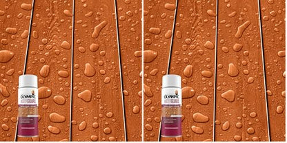 Olympic WaterGuard 11.75 oz. Woodland Cedar Semi-Transparent Exterior Wood Stain Plus Sealer (Pack of 2) - color: Cedro del bosque, size: 11 oz. (Pack of 2), style: No sheen