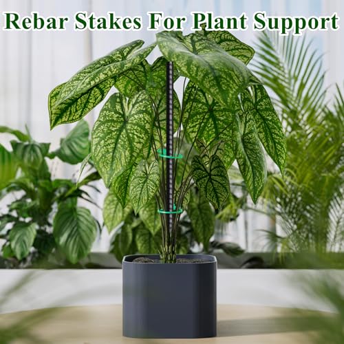 Rebar Stakes 16 Inch 20 Pack Heavy Duty Ground Anchors with Chisel Point End Long Straight Steel Tent Stakes 3/8" Thickness Metal Spikes Black Coated for Concrete Timber Camping Garden Plant - size: I-16"x3/8"-20pcs