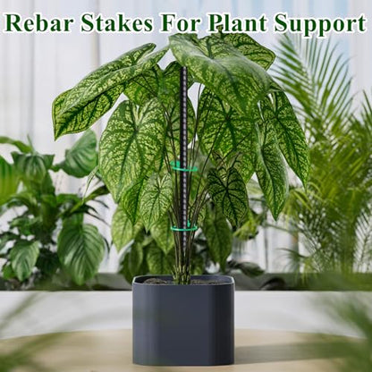 Rebar Stakes 16 Inch 20 Pack Heavy Duty Ground Anchors with Chisel Point End Long Straight Steel Tent Stakes 3/8" Thickness Metal Spikes Black Coated for Concrete Timber Camping Garden Plant - size: I-16"x3/8"-20pcs