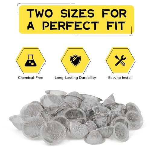 Carpenter Bee Hole Plugs 50 Pcs – Stainless Steel Carpenter Bee Corks for Outside, 2 Sizes Hole Filler with Wooden Stick, Porches, Fences, Roofs, Outdoor Wood Repair Kit