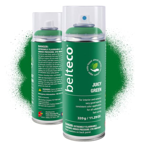 Juicy Green Spray Paint | Water-based Spray Paint Green - color: Juicy Green, size: 11.29 Ounce (Pack of 1)