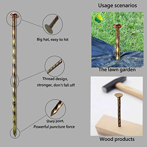 100 Pack 8 "Galvanized Non-Rust Metal Spiral Garden Stakes Landscape Spikes - color: 100 Pack 8inch