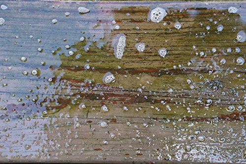 #1 Deck Wood Stain Stripper - 1 Gallon - Ready to Use, Wood Stain Remover Strips Weathered, Water-Based and Oil-Based Finishes (Pack of 4) - size: 1 Gallon (Pack of 4)