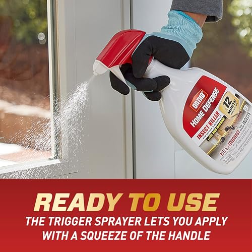 Ortho Home Defense Insect Killer for Indoor & Perimeter2, 24 oz. (2-Pack) - color: Trigger Sprayer (2-Pack)