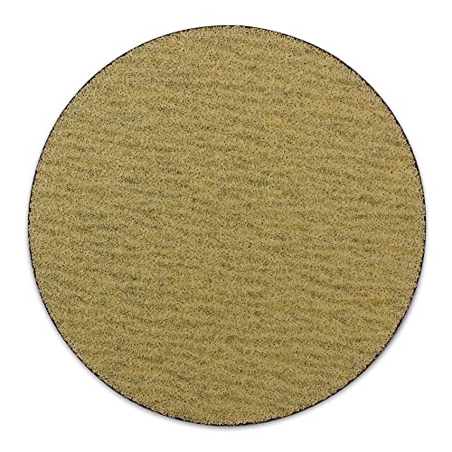 BHA 5" No Hole Hook & Loop Sanding Discs for DA Sander, 80 Grit - 100 Pack