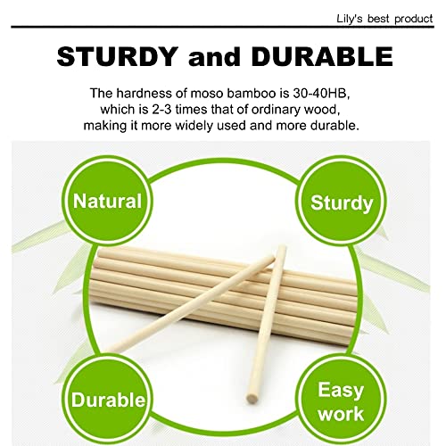 HOPELF 200PCS Wooden Dowel Rods - 1/8 x 6 Inch Bamboo Sticks - for Crafts, Cake Dowels and DIYers - size: 1/8" x 6"