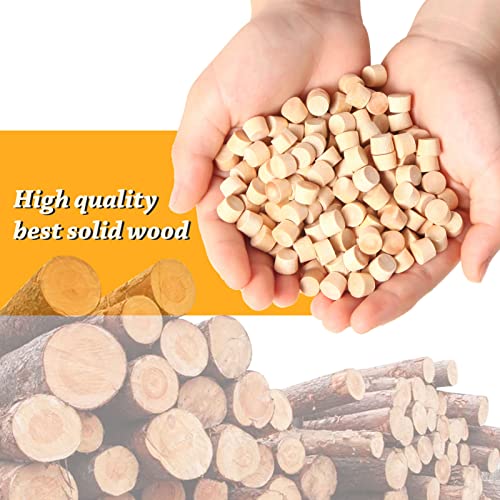 200 Piece Flat Head Wooden Screw Hole Plugs (3/8 Inch) - Hole Plugs & Wood Caps - Wooden Screw Covers - size: 3/8 Inch