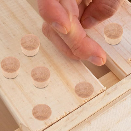 BESPORTBLE 50 Pack Wood Hole Plugs Wooden Plugs for Furniture Holes and Carpenter Bee Hole Filler Reusable Tapered Stopper Plug for Woodworking Projects