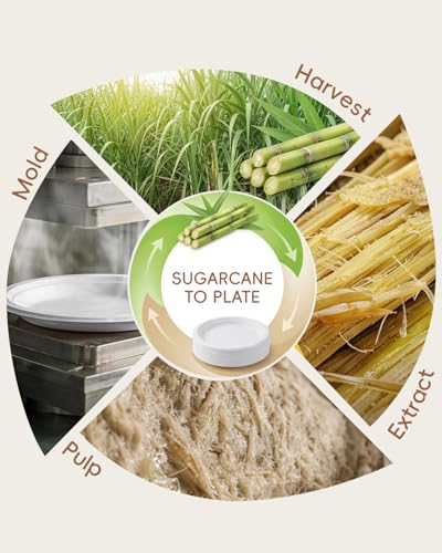 Goodluck 10 Inch White Compostable Sugarcane Paper Plates, 100 Pack - size: 10 inch
