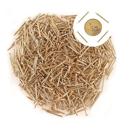 newlng 500PCS Small Nail Round Head Tiny Nails String Art Nails Hand-Made Hardware Accessories Fasteners Mini Nail 1.5mm X 25mm/0.06"X1"(DXL) Golden - color: Golden1.5*25mm