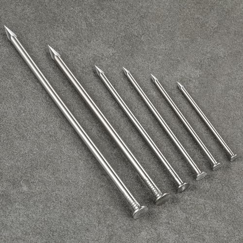 Wensilon 430pcs Stainless Steel 304 Nails Kit, Hanging Nails Kit, Wall Nails Kit, Dowels Kit, Long Nails Kit (Pack of 2) - color: Ss, size: Kit (Pack of 2)
