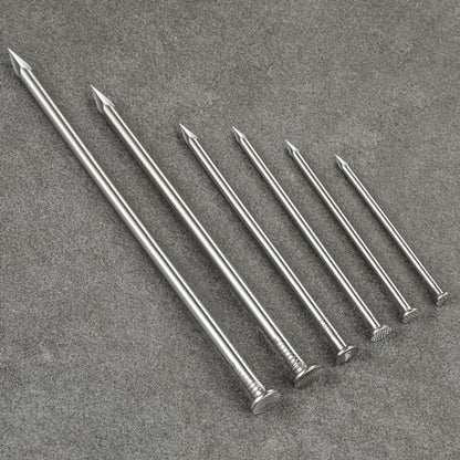Wensilon 430pcs Stainless Steel 304 Nails Kit, Hanging Nails Kit, Wall Nails Kit, Dowels Kit, Long Nails Kit (Pack of 2) - color: Ss, size: Kit (Pack of 2)