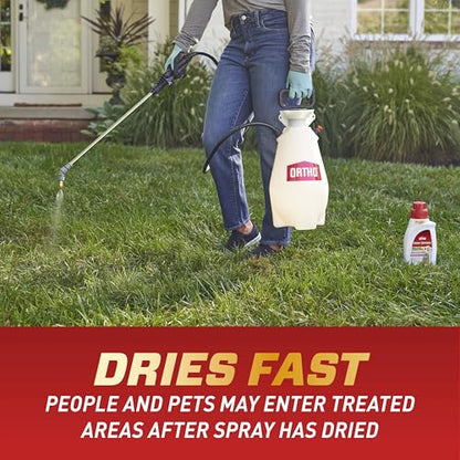 Ortho Home Defense Insect Killer for Indoor and Perimeter Concentrate - Kills Ants, Cockroaches and Spiders, 32 fl. oz.(Pack of 2) - size: 2-Pack