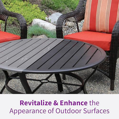 Rejuvenate Outdoor Restorer 16 Oz, Multi-Surface Formula - size: 16 Fl Oz (Pack of 1)