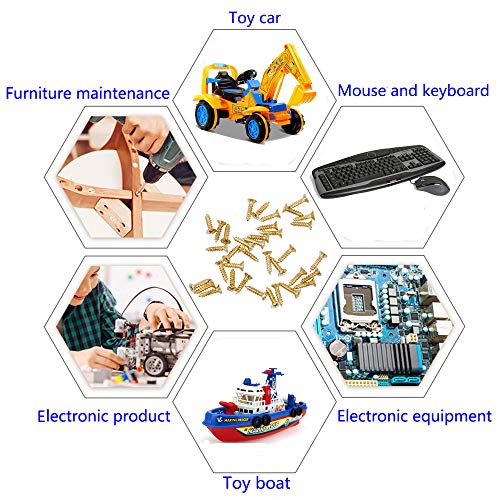 newlng 1200pcs Small Screws 2& 2.5 * 6/8/10mm Phillips Flat Head Cross Self Tapping Tiny Screw Cabinet Electronic Accessories Screw Multifunctional DIY Micro Woodworking Mini Screw Set Gold - color: Gold
