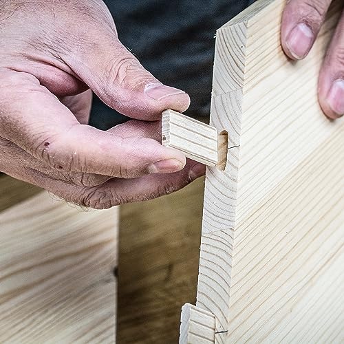 Trend 100pcs Beech Wood Dominos 6 x 30mm for Festool Domino Machine, 1/4 Inch x 1 3/16 Inches Loose Tenons for Woodworking Joinery and Furniture Framing, TEN/6X30/100 - style: 1/4" x 1-3/16" (6 x 30mm) 100pcs