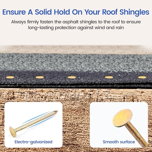 meite NP45 Pneumatic Nail Remover Kit with 1-3/4 Inch Coil Roofing Nails, Heavy Duty Air Punch Nail Extractor Tool for Roof Repair Wood Demolition Pallet Recycling, 2,880PCS