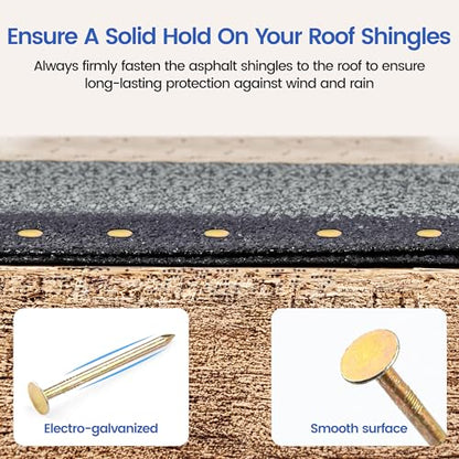 meite NP45 Pneumatic Nail Remover Kit with 1-3/4 Inch Coil Roofing Nails, Heavy Duty Air Punch Nail Extractor Tool for Roof Repair Wood Demolition Pallet Recycling, 2,880PCS
