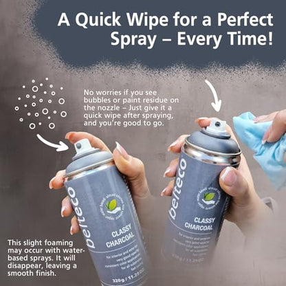 Classy Charcoal Spray Paint | Water-based Light Black Spray Paint - color: Classy Charcoal, size: 11.29 Ounce (Pack of 1)