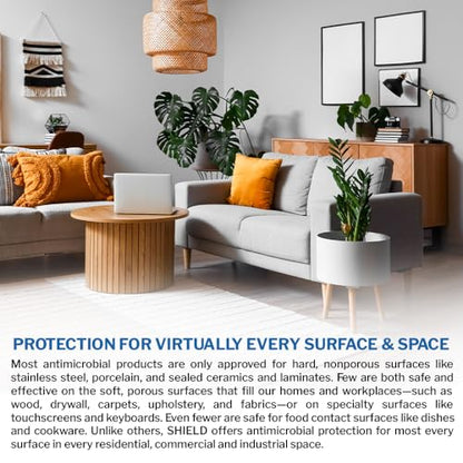 PermaSafe SHIELD 90-Day Antimicrobial Surface Protectant Spray | Long-Lasting, Multi-Surface Protection Against Growth & Spread of Bacteria, Mold, Mildew, Fungi & Algae | Indoor & Outdoor Use - 1 Gal - size: 128 Fl Oz (Pack of 1)