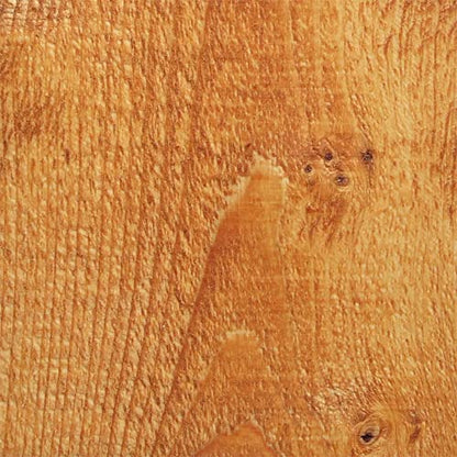 Wood Defender Transparent Fence Stain and Seal, Cedar Tone, 1-Gallon - color: Cedar Tone, size: 1 Gallon