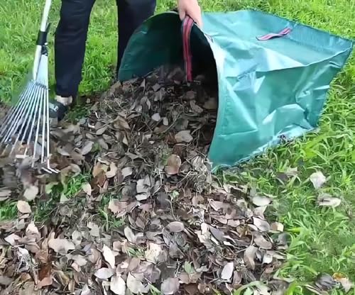 RISETEX Heavy-Duty 72 Gallon Standable Collapsible Yard Waste Leaf Bags - style: 1 Pack