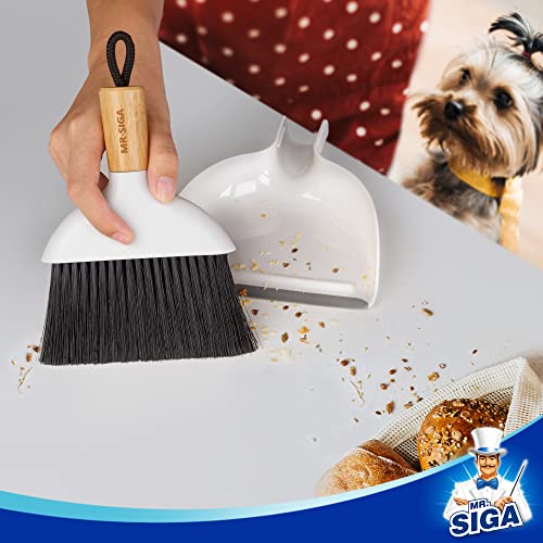 MR.SIGA Mini Dustpan and Brush Set, Bamboo Handle, White, 1 Set - color: White