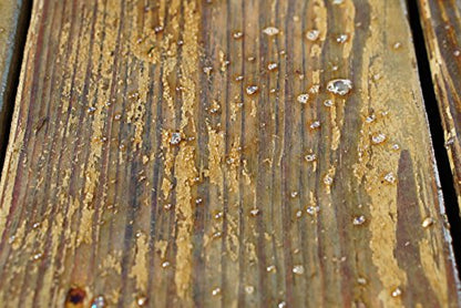 #1 Deck Wood Stain Stripper - 1 Gallon - Ready to Use, Wood Stain Remover Strips Weathered, Water-Based and Oil-Based Finishes - size: 1 Gallon