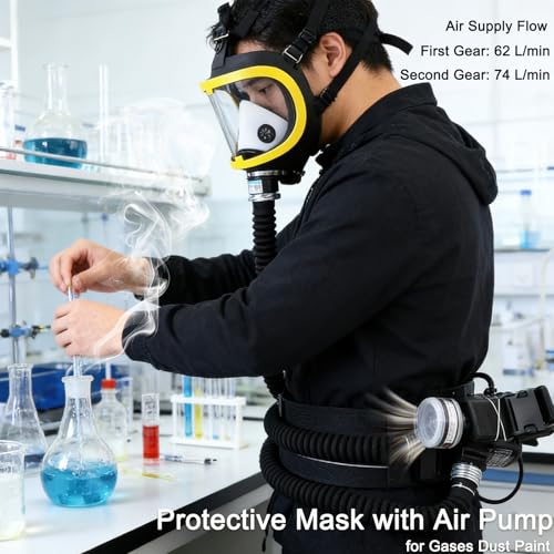 Full Face Respirator, Protective Mask with Air Pump for Gases Dust Chemicals Paint， Powered Respirator, 110ma-300ma 62 L/min 74 L/min Air Supply Flow