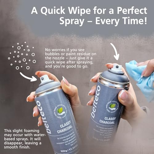 In Love With Grey Spray Paint | Water-based Spray Paint Grey - color: In Love with Gray, size: 11.29 Ounce (Pack of 1)