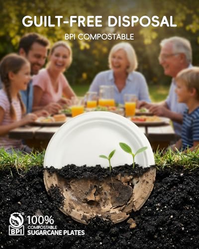 Goodluck 6 Inch White Compostable Sugarcane Paper Plates, 100 Pack - size: 6 inch