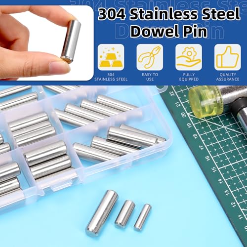 Glarks 60pcs 6/8/10mm Dowel Pins Kit, 12 Sizes 304 Stainless Steel Cylindrical Shelf Support Peg Pin Fasten Elements, Wood Bunk Bed Dowel Pins Shelf Pegs for Cabinet and Furniture Installation - size: M6 M8 M10