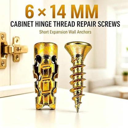 Hinge Repair Screw & Expansion Anchor, 100 PC 6×14mm Expansion Screw Set