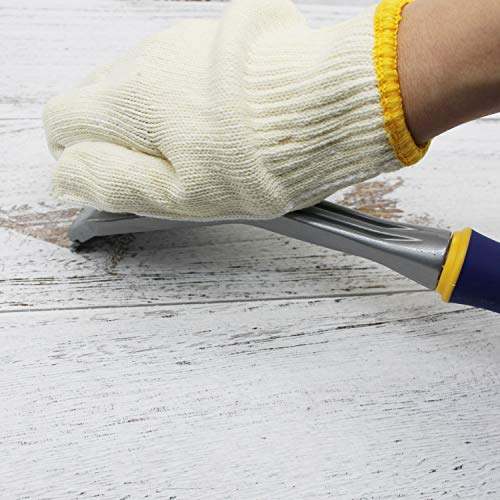 MANUFORE Paint Scraper with 2.5 Inch Double-edged Tungsten Steel Carbide Scraper with Extra 2 Blades