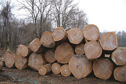 ANCHORSEAL Classic Log and Lumber End Sealer, Prevents Checking, 1 Gallon - size: 1 Gallon