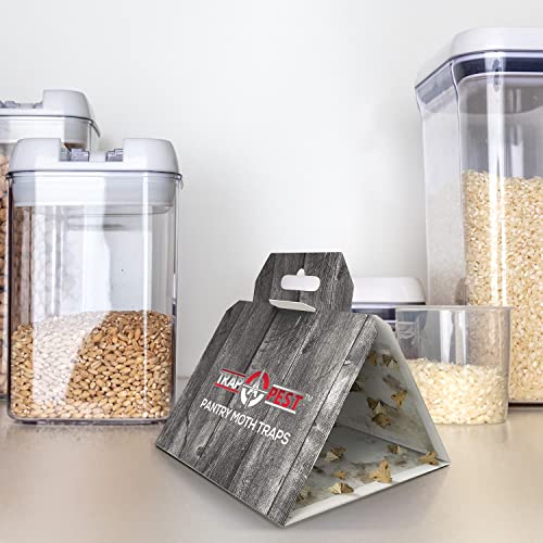 Trap a Pest Pantry Moth Traps - Pheromone Lure Glue Traps - 12 Pack - size: 12 Pack
