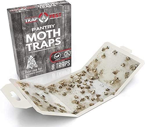 Trap a Pest Pantry Moth Traps - Pheromone Glue Lure - 8 Pack - size: 8 pack