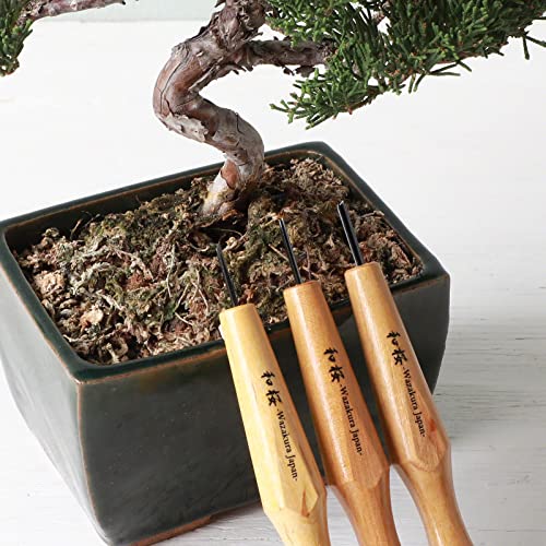 Wazakura 3PCS Bonsai Chisel Kit with Round Gouge, Single Bevel Skewed