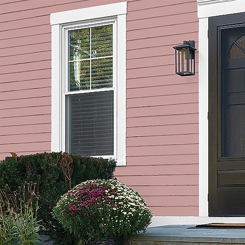 Glidden Total Exterior Paint & Primer All-in-One, Pepperberry/Pink, Flat, 1 Gallon - color: Pepperberry, size: 128 Fl Oz (Pack of 1)
