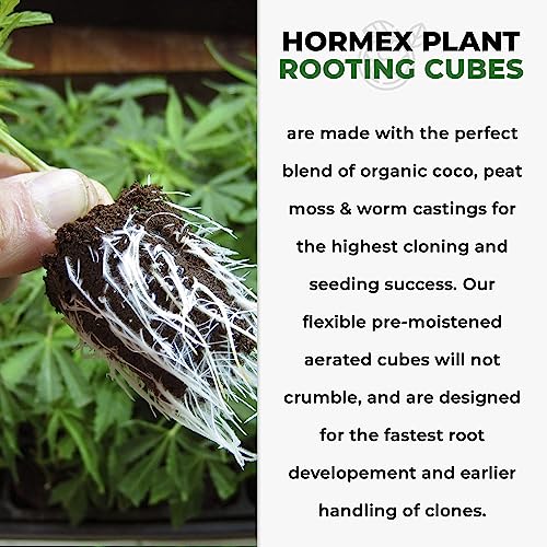 Hormex Rooting Cubes (50 Pack) - Plant Starter Plugs for Fast Root Growth - color: A) Rooting Cubes
