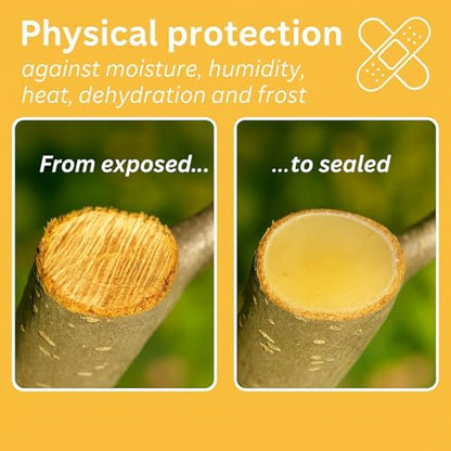 Briliantwerk 28 oz Transparent Tree Pruning Sealer | Tree Wound Sealer