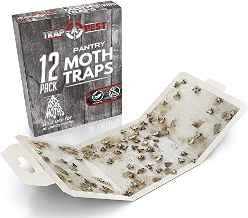 Trap a Pest Pantry Moth Traps - Pheromone Lure Glue Traps - 12 Pack - size: 12 Pack