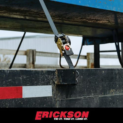 Erickson Pro Series Ratcheting Tie-Down Strap - Black, 1 in x 6 ft, 2 Pack - color: Black, size: 1in x 6ft
