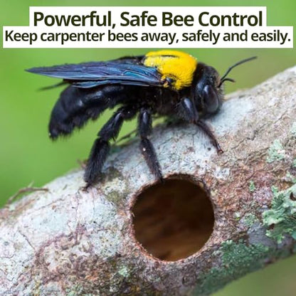 Donaldson Farms Carpenter Bee Spray for Sheds, Decks & Outdoor Wood, 16 oz - size: 16 0z - Carpenter Bee Spray