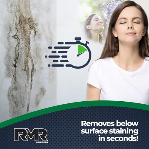 RMR-86 Instant Mold and Mildew Stain Remover Spray - Scrub Free Formula, 1 Gallon - size: 128 Fl Oz (Pack of 1)