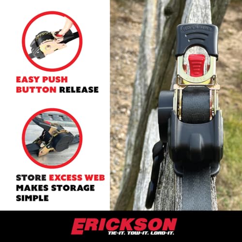 Erickson Pro Series Ratcheting Tie-Down Strap - Black, 1 in x 6 ft, 2 Pack - color: Black, size: 1in x 6ft