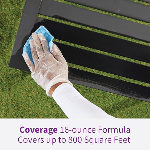 Rejuvenate Outdoor Restorer 16 Oz, Multi-Surface Formula - size: 16 Fl Oz (Pack of 1)