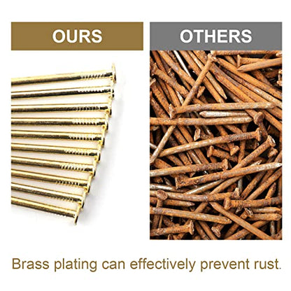 JEGONFRI 240PCS 1-1/2" x 14Ga Brass Plated Nails for Hanging Pictures - color: Gold, size: 1-1/2 In , 240 Pcs