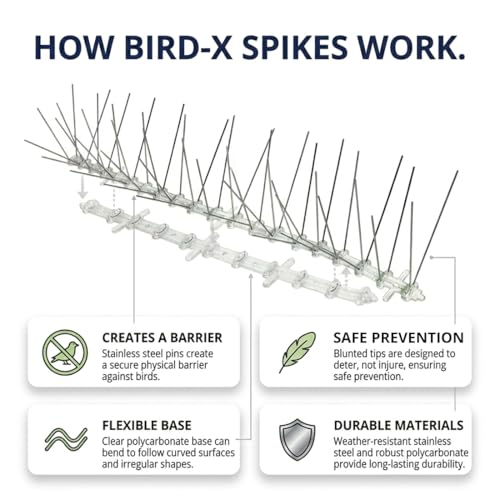 Bird-X Stainless Bird Spikes 8-Inch Extra-Wide, 2 Ft Strips, 100 Feet - size: 4.1 Oz